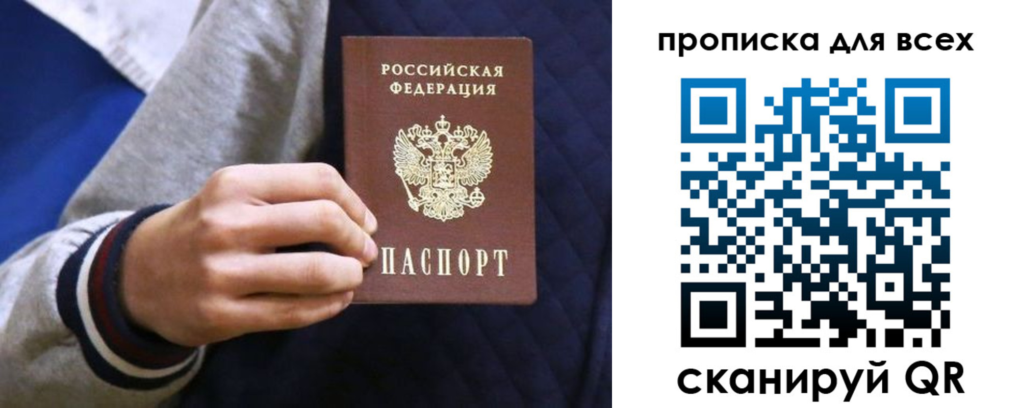 прописка гарантия в Дубовке
